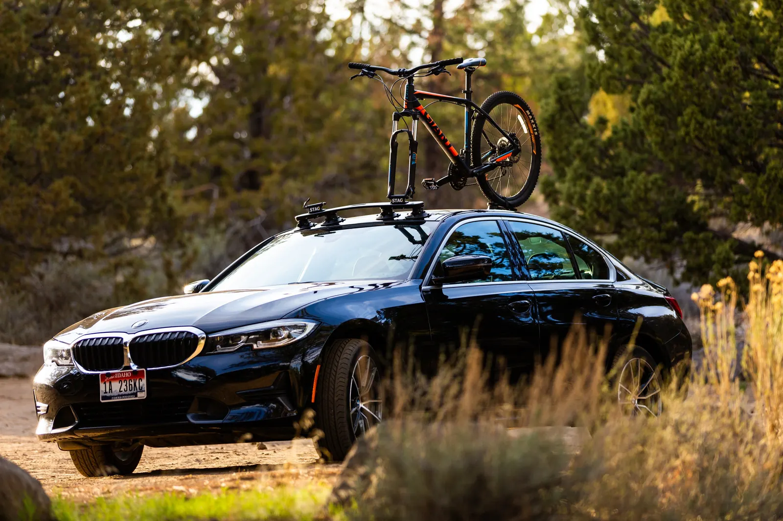 Bike on a STAG Rack on a dark blue car
